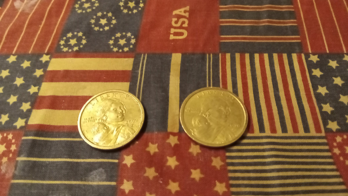 Sacagawea Dollar Coin