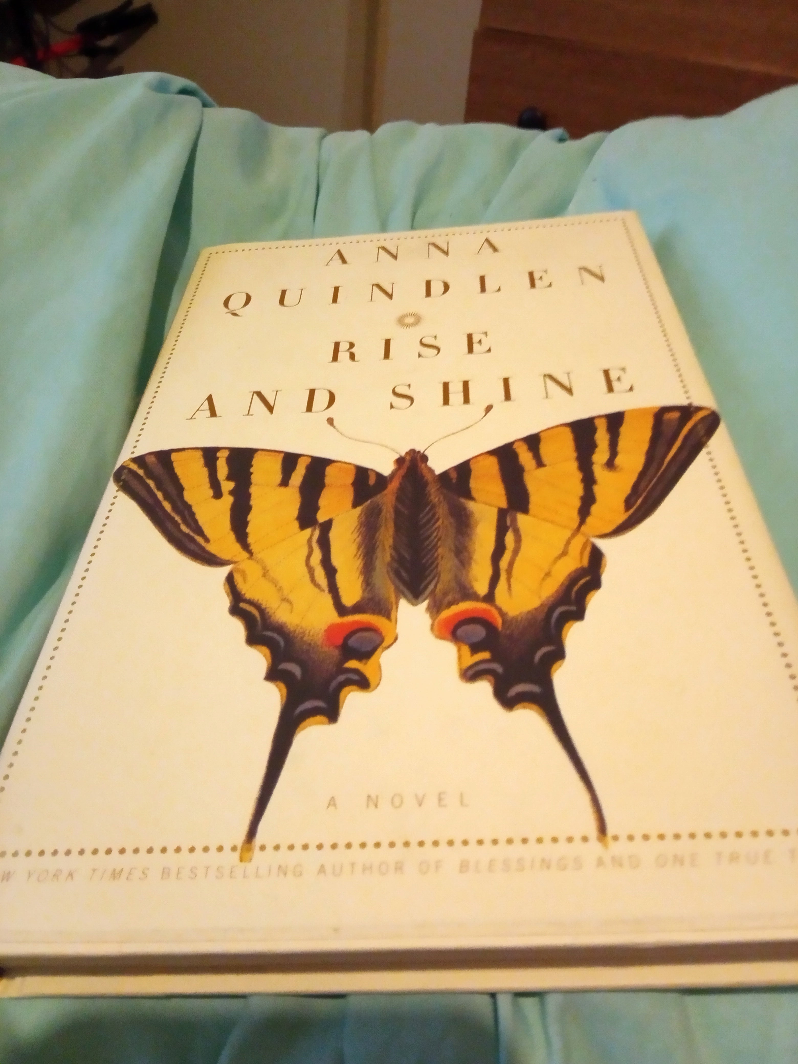 Anne Quinlin Rise and Shine hardcover – Alan's Oddities