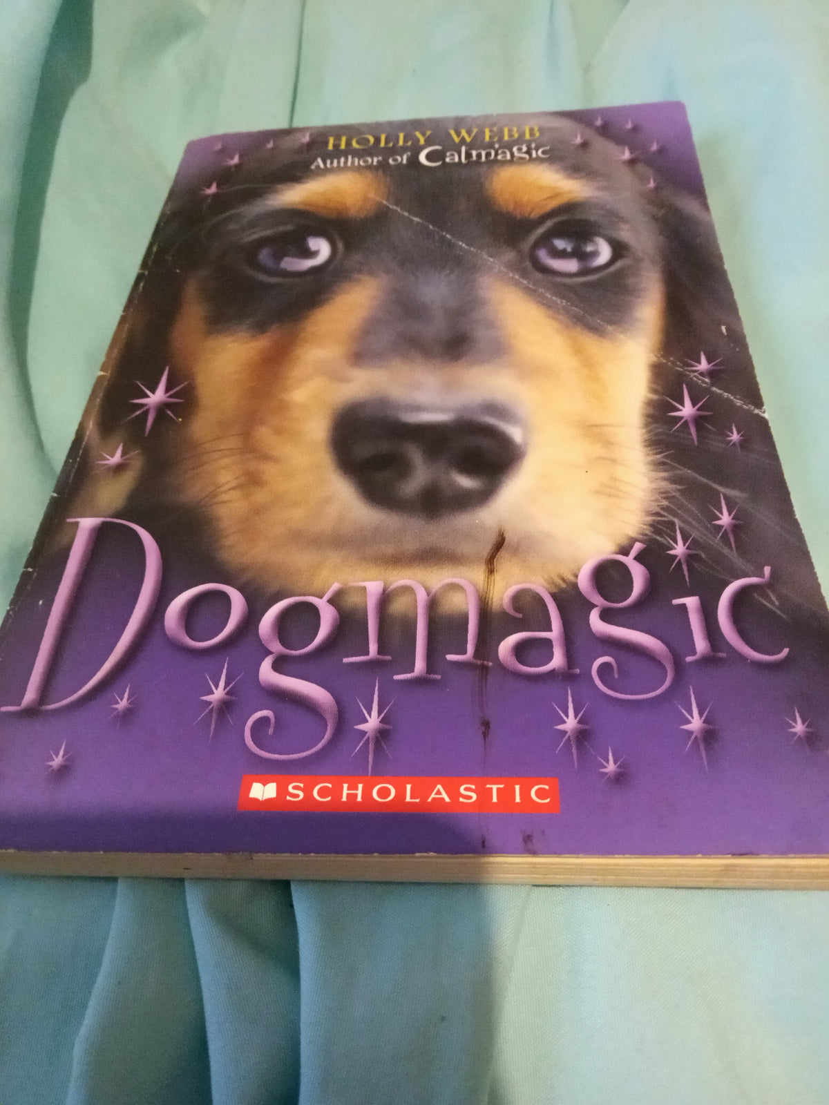 Dogmagic by Holly Webb